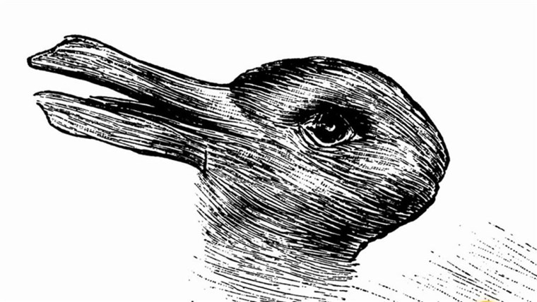 Duck Rabbit