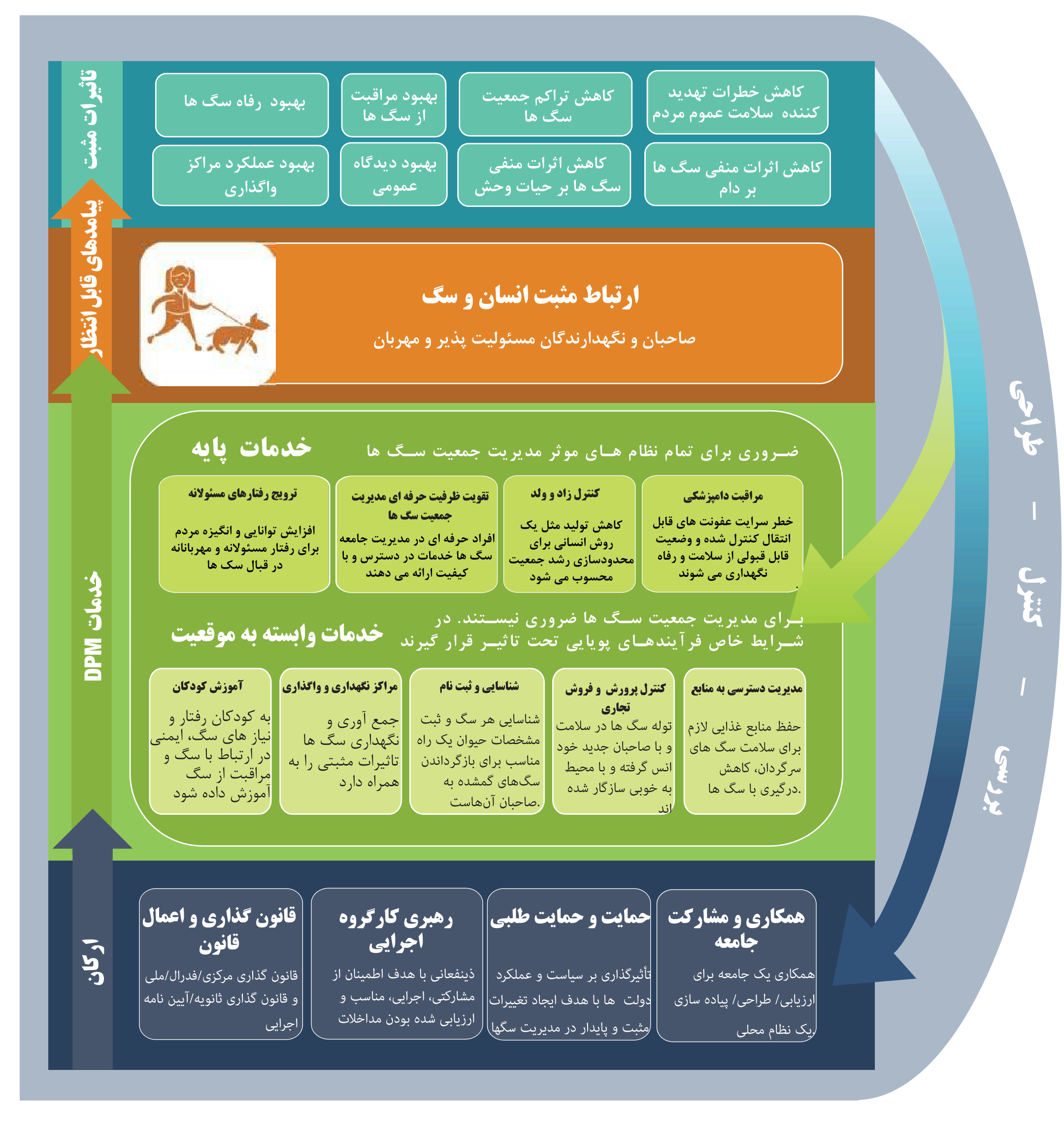 شکل 6 نظام مدیریت جمعیت سگ‌ها