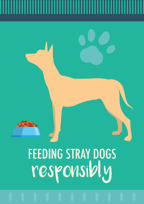 Educational pamphlet on responsible feeding of stray dogs in Singapore